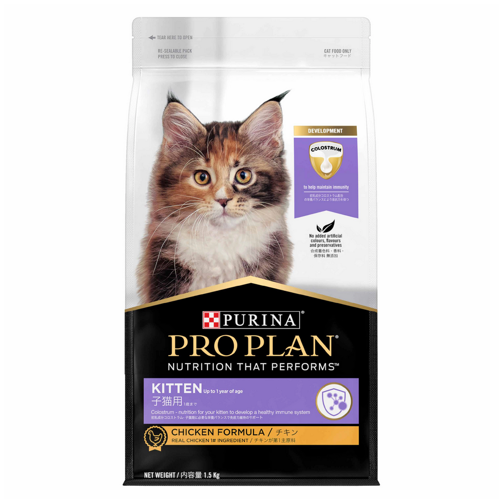 Review Terbaru Makanan Kucing Proplan Kitten